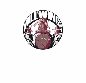 BV Millwings - shop