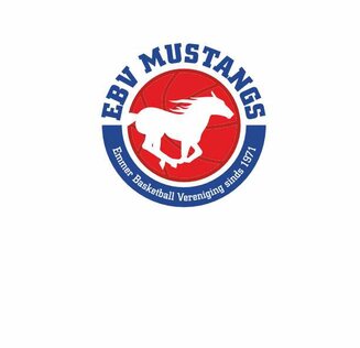 EBV Mustangs - shop