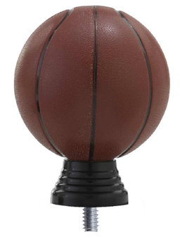 PF301.2 Basketbal met standaard