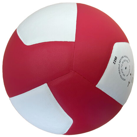Gala Pro-line 5576 volleybal