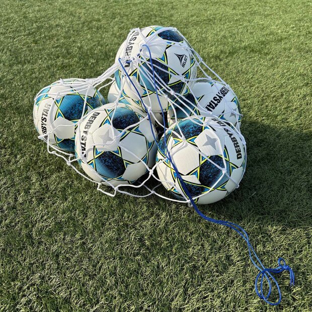 Ballennet voor 6 ballen