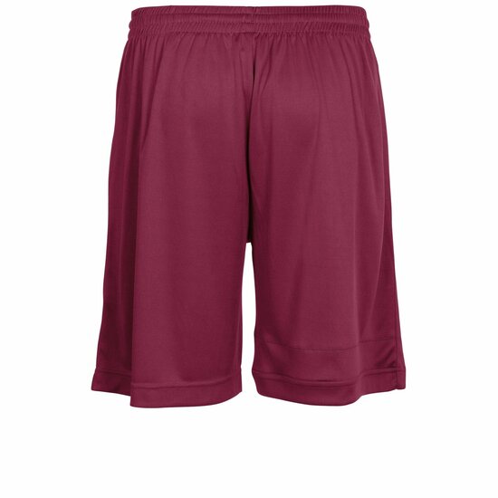 Stanno Field short bordeaux 