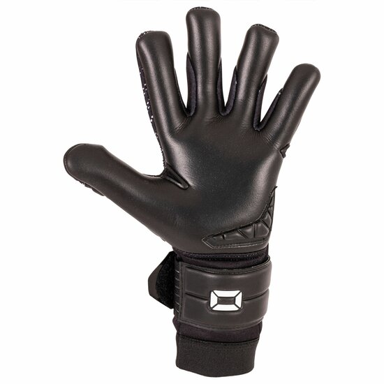 Stanno Hardground RFH keepershandschoenen