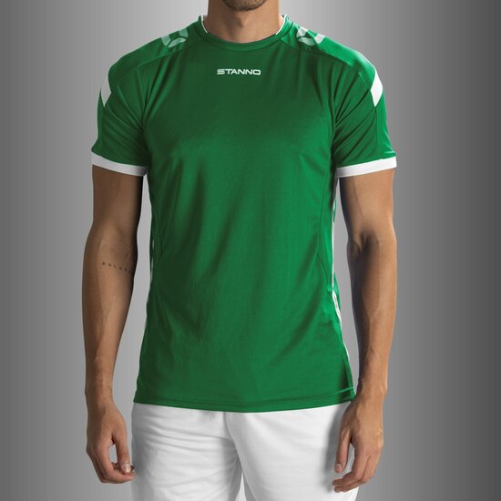 Stanno Drive shirt groen