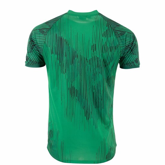 Stanno Hatch shirt groen