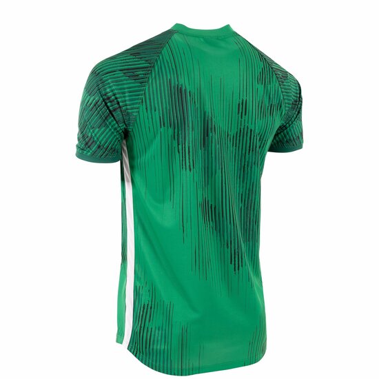 Stanno Hatch shirt groen