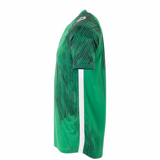 Stanno Hatch shirt groen