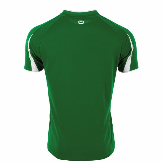 Stanno Unity shirt groen