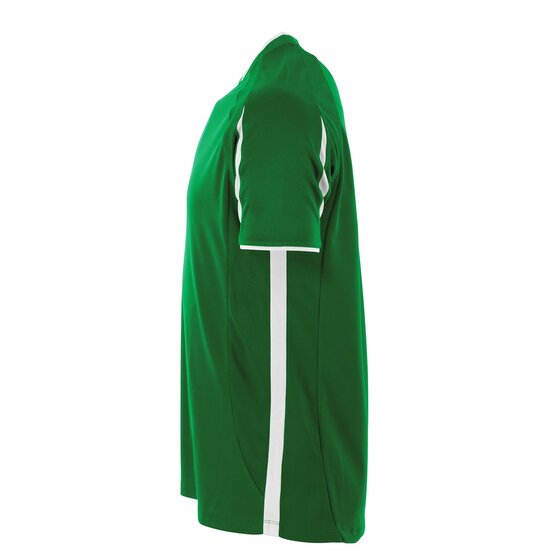 Stanno Unity shirt groen