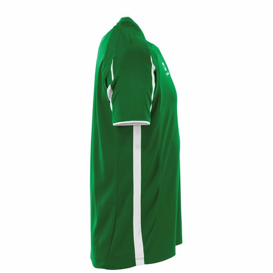 Stanno Unity shirt groen