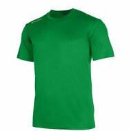 Stanno Field shirt groen