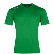 Stanno Field shirt groen