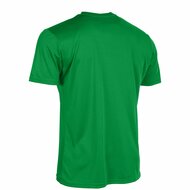 Stanno Field shirt groen