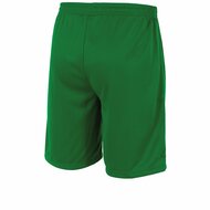 Stanno Club Pro short groen