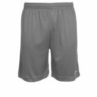 Stanno Field short grijs