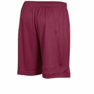 Stanno Field short bordeaux 