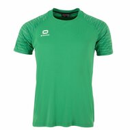 Stanno Bolt shirt groen
