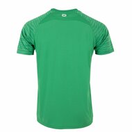Stanno Bolt shirt groen