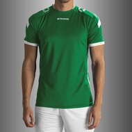 Stanno Drive shirt groen