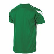 Stanno Drive shirt groen