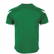 Stanno Drive shirt groen