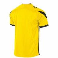 Stanno Drive shirt geel