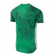 Stanno Hatch shirt groen