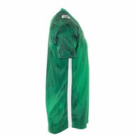 Stanno Hatch shirt groen