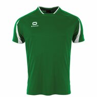 Stanno Unity shirt groen