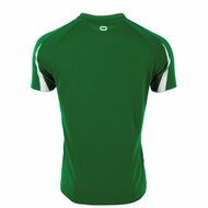 Stanno Unity shirt groen