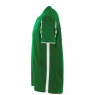 Stanno Unity shirt groen