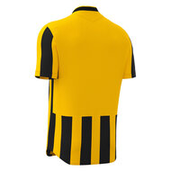 Macron Legion shirt geel