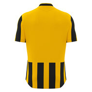 Macron Legion shirt geel