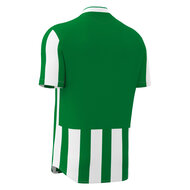 Macron Legion shirt groen