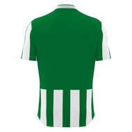 Macron Legion shirt groen