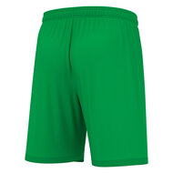 Macron Galax short groen