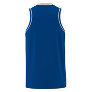 Macron Carbon basketbalshirt blauw