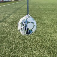 Ballennet voor 1 bal