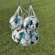 Ballennet voor 6 ballen