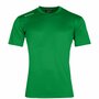 Stanno Field shirt groen