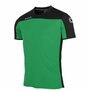Stanno Pride shirt groen