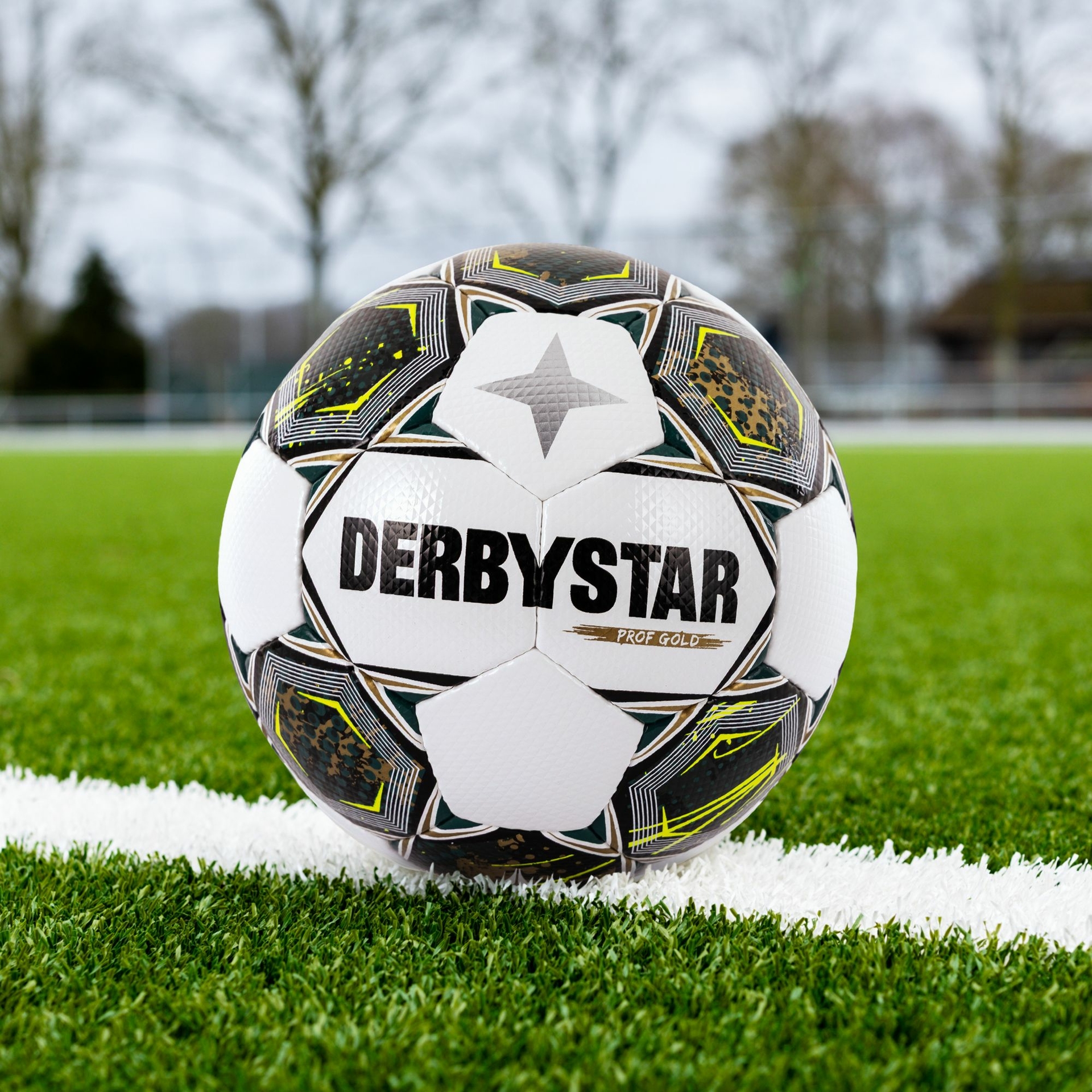 Derbystar Prof Gold IV, foto 2 van 6