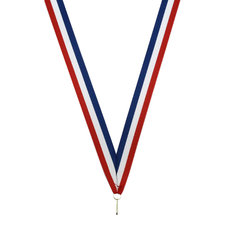 Neklint medaille - Nederland