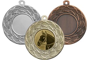 Paardensport medaille