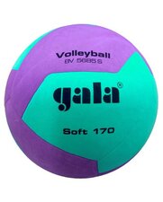 Volleybal Gala Jeugd Minibal Soft 170 gr lila