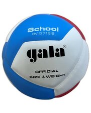 Volleybal Gala School 10