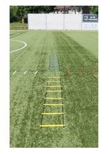 Cawila 4-way loopladder