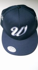 WHSC - Macron cap